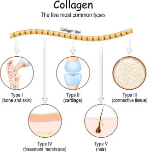 genacol-collagen