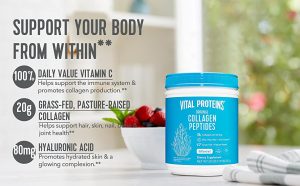 Vita-Protein-Collagen-Costco